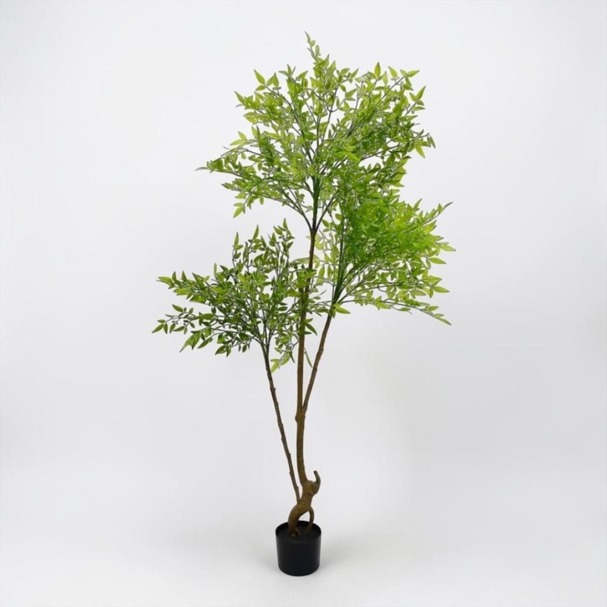 Plantas Decorativas