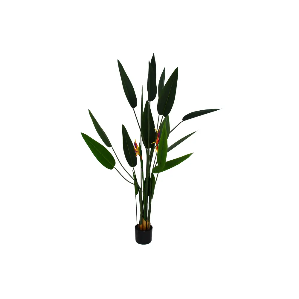 PARADAISE PLANTA 