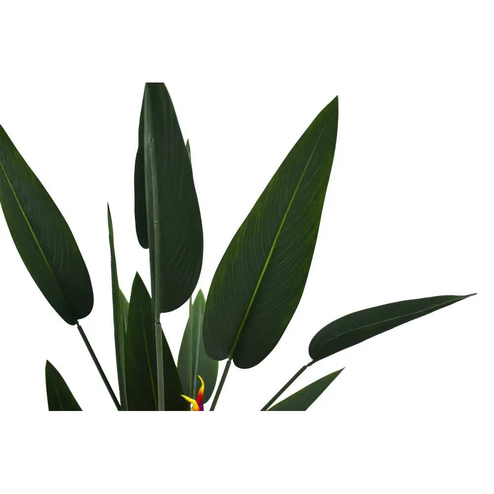 PARADAISE PLANTA 