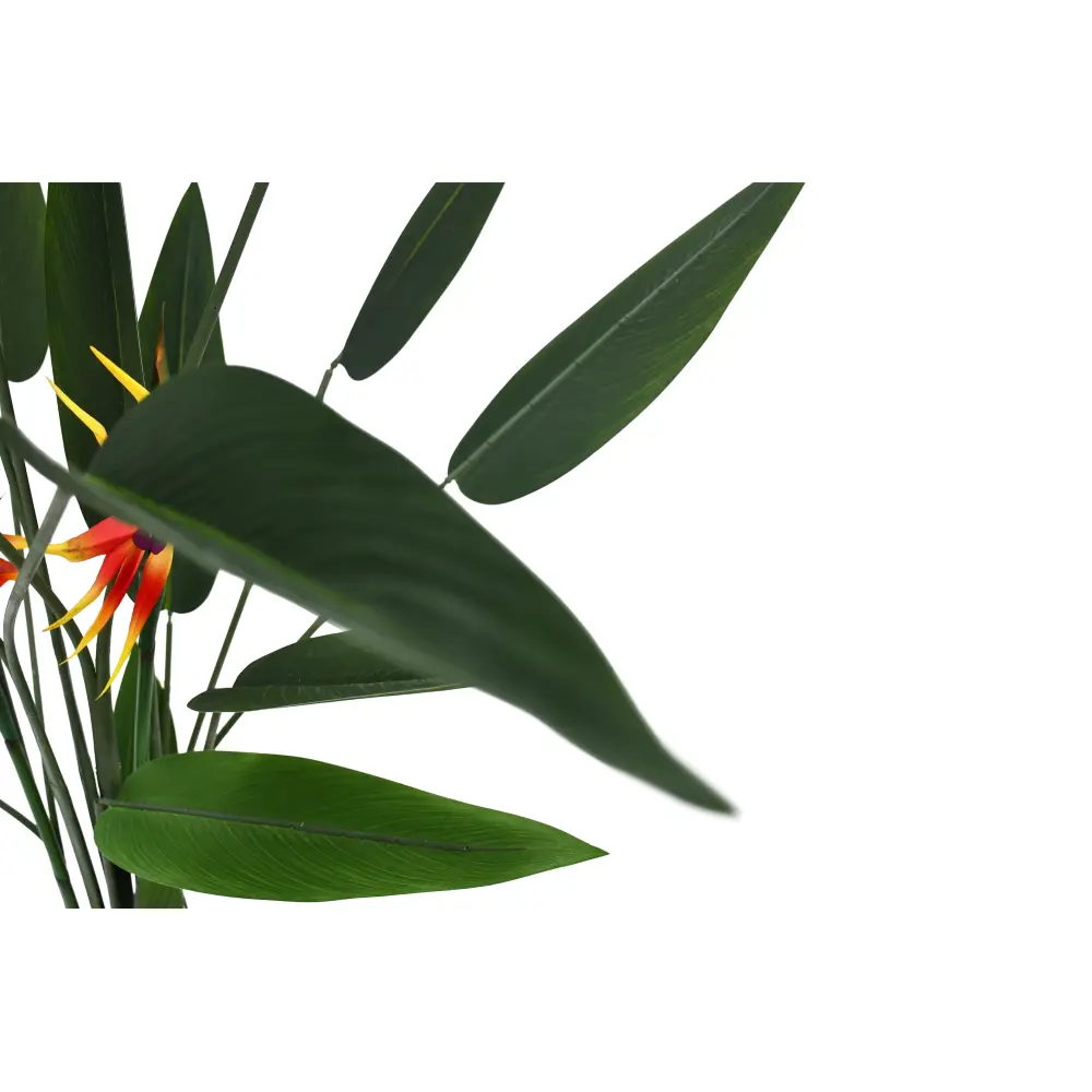 PARADAISE PLANTA 